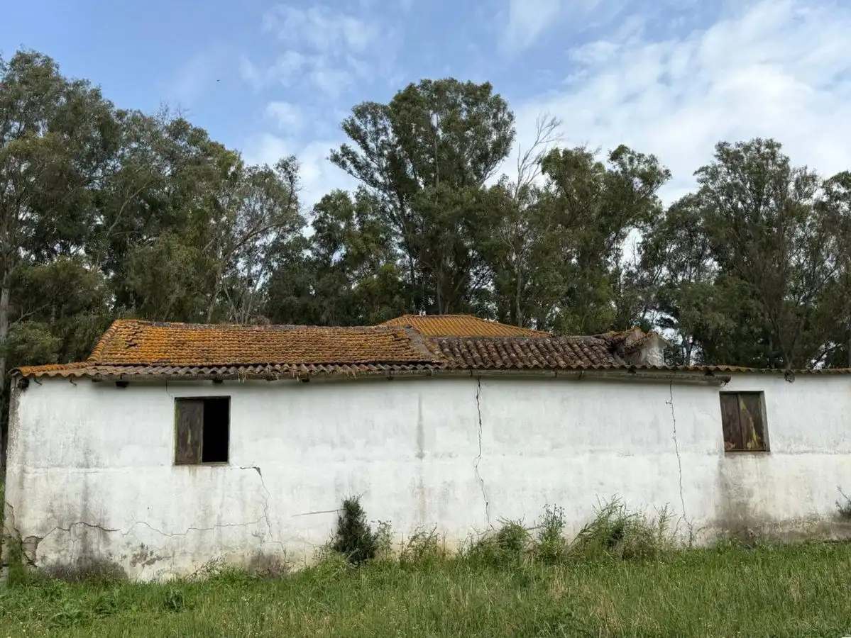 Vista exterior de Finca rústica en venta en Jimena de la Frontera con Terraza