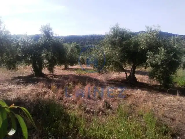 Residential land for sale in Espiel, imagen 3
