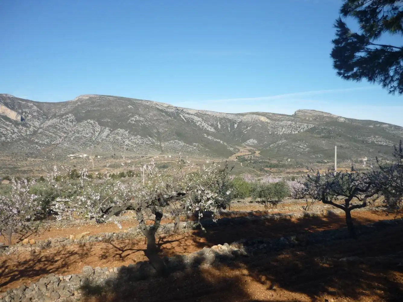 Maison rustique à vendre à Sierra Engarcerán, imagen 15
