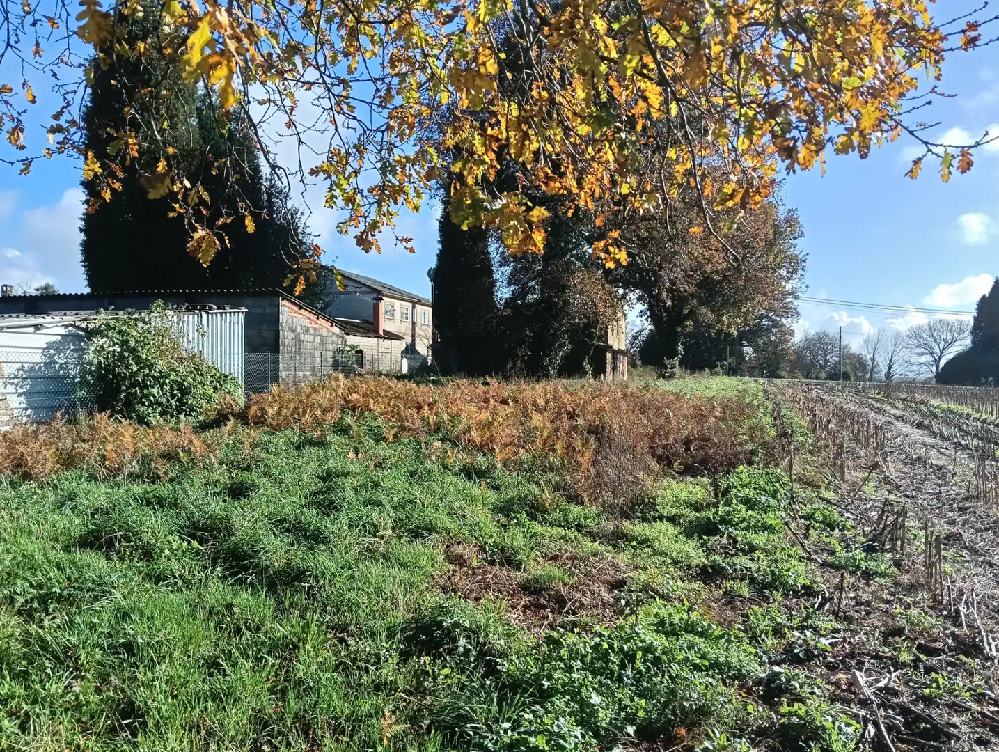 Casa o chalet en venta en Mesía con Jardín privado