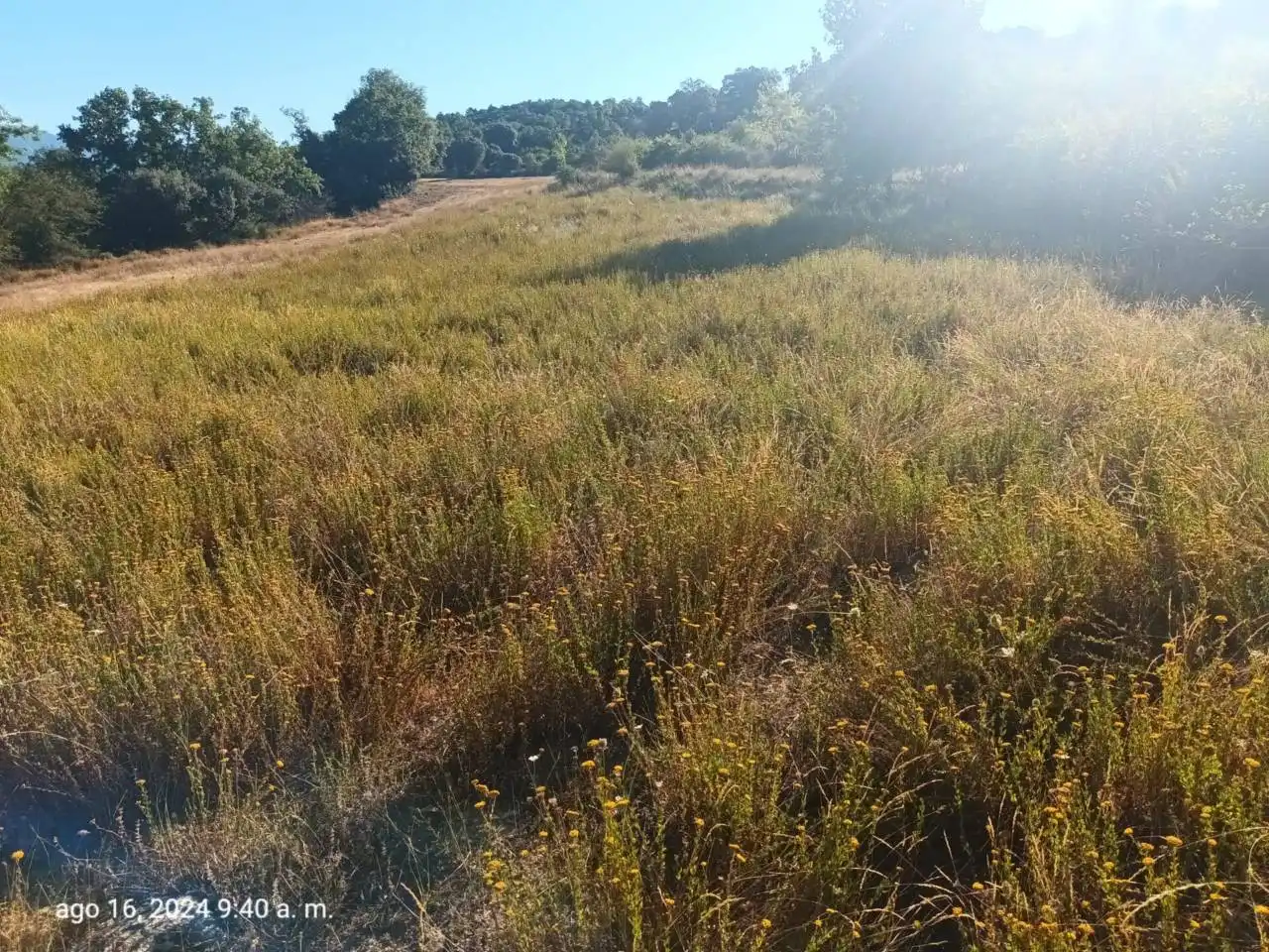 Land for sale in Isábena