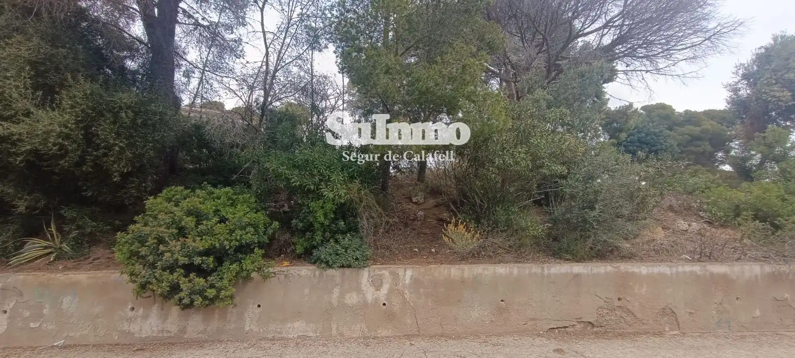 Rural land for sale in SAL, imagen 2