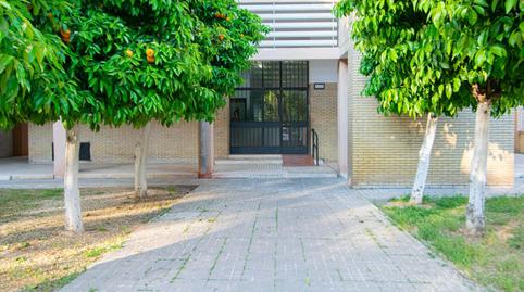 Photo 2 of Flat for sale in Avenida Paz la, El Plantinar – Avda. La Paz - El Juncal, Sevilla Capital