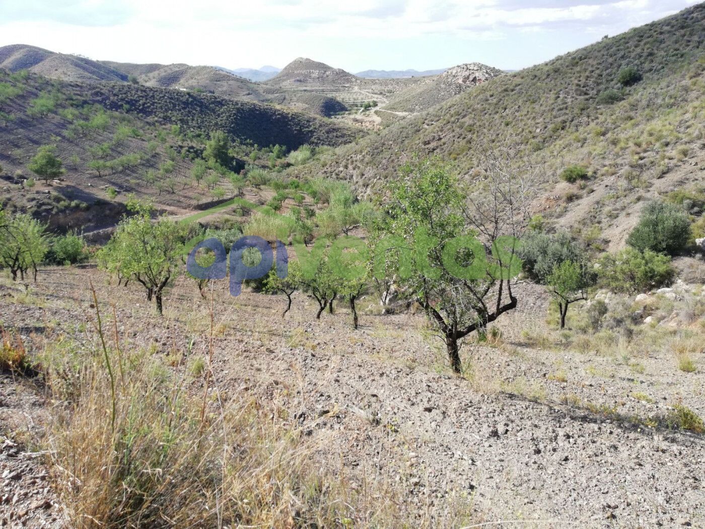 Vista exterior de Finca rústica en venda en Lorca