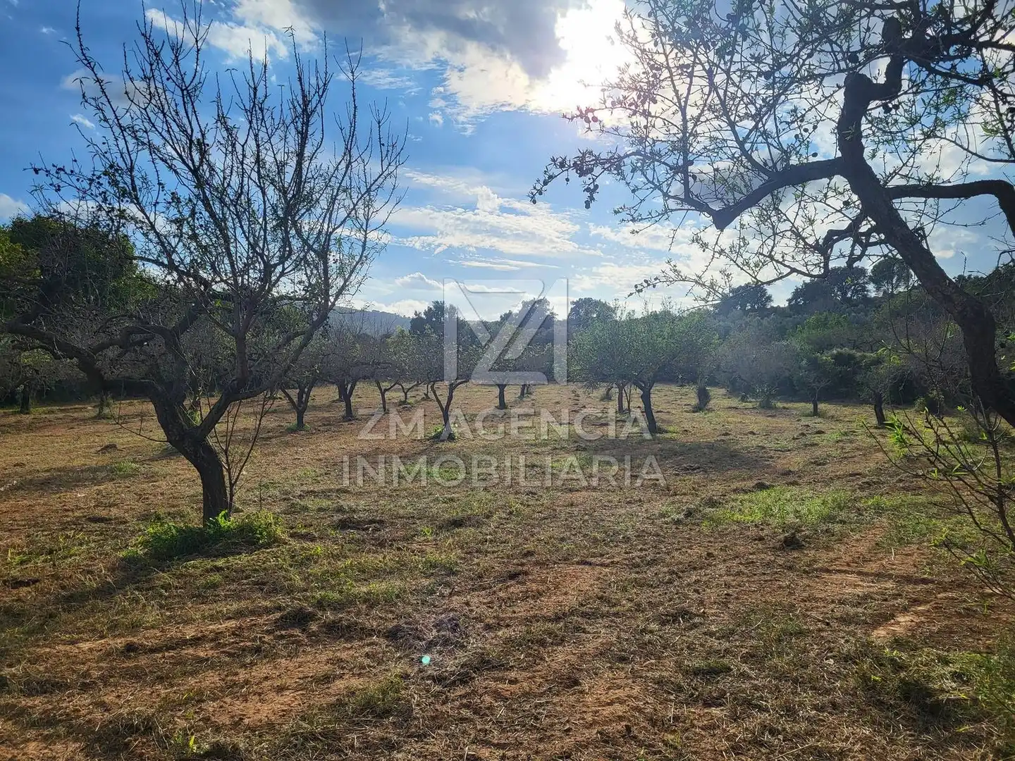 Terreno rustico in vendita a Traiguera, imagen 7