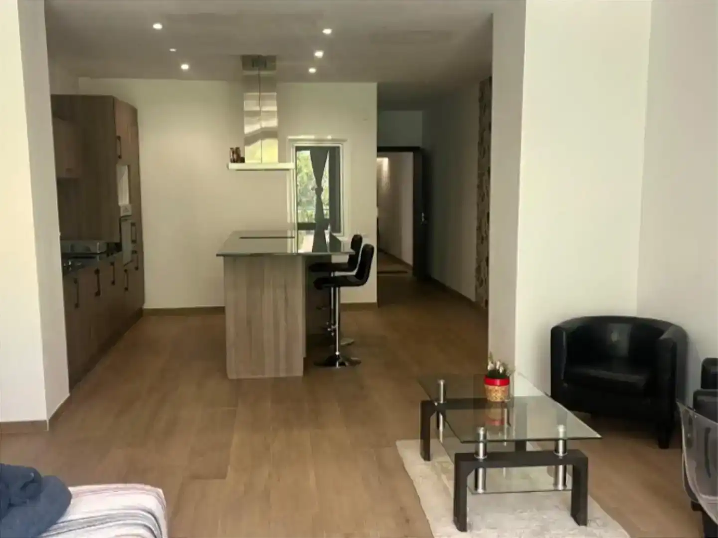 Sala d'estar de Pis en venda en Monistrol de Montserrat amb Aire condicionat, Jardí privat i Moblat