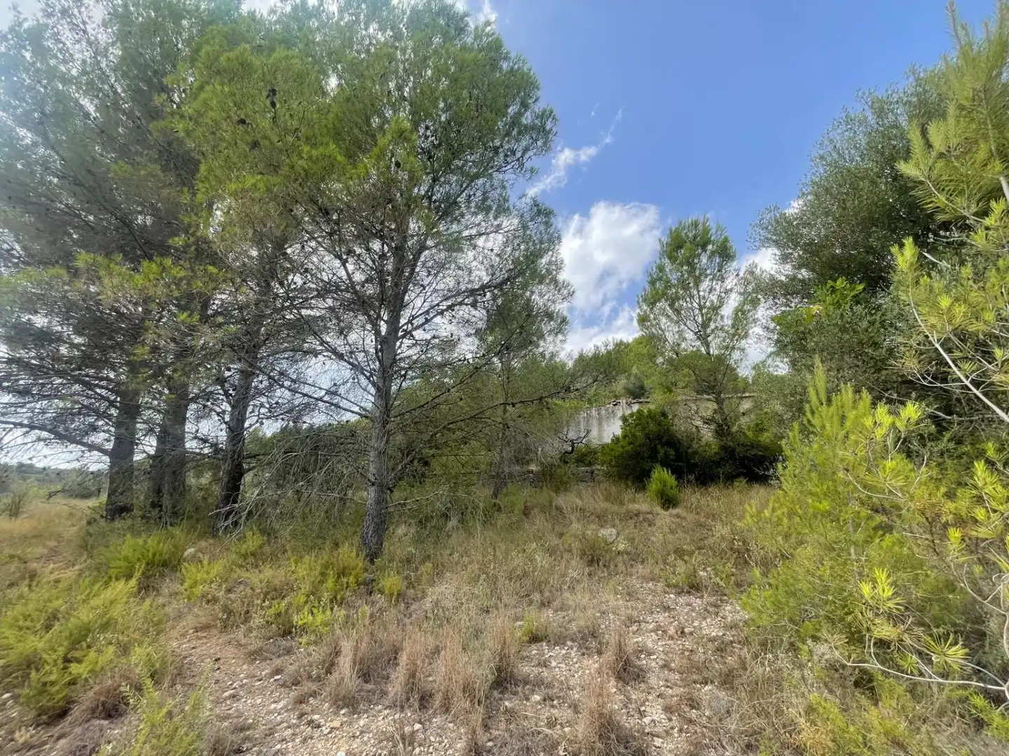 Residencial en venda a N/A, Xert