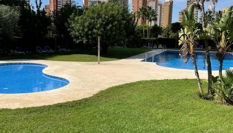 Photo 1 of Apartment to rent in Juzgados - Plaza de Toros, Alicante