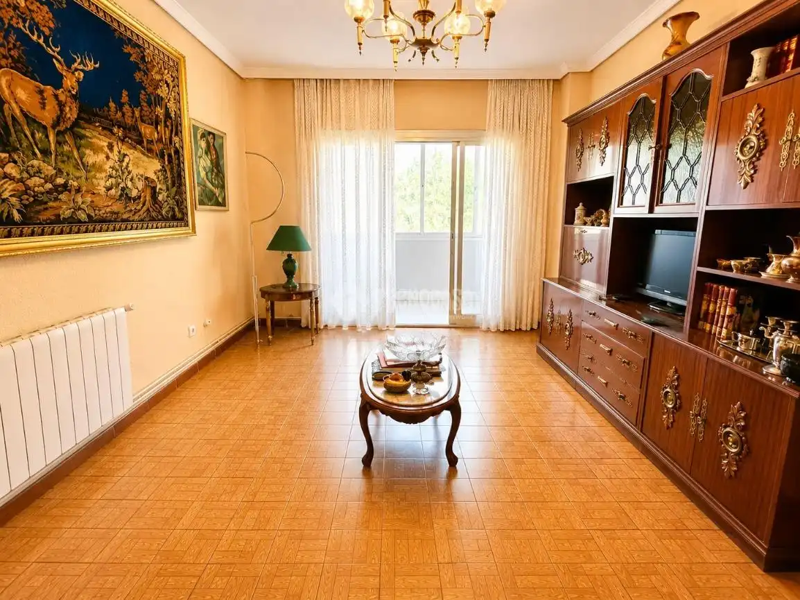 Sala d'estar de Pis en venda en Madrid amb Terrassa i Traster