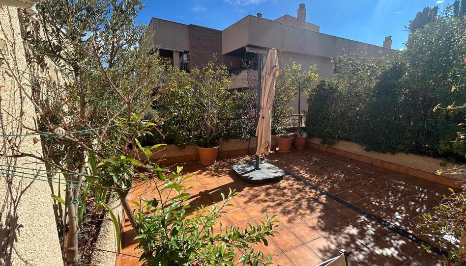 Photo 1 of Attic to rent in Barrio de Zaidín, Granada