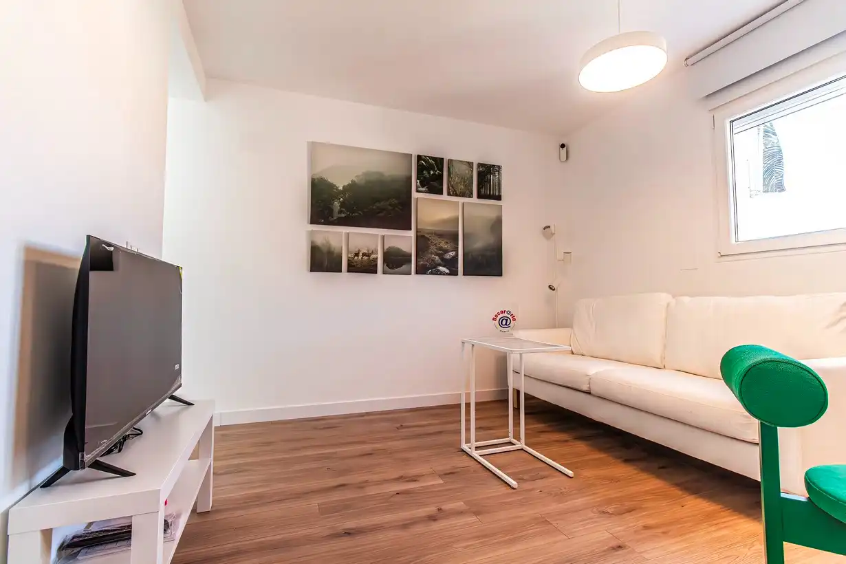 Living room of Flat for sale in Madrid  with Air Conditioner, Heating and Furnished