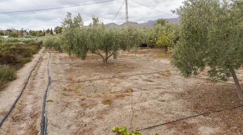 Photo 5 of Country house for sale in Camino Alejandro, Pechina, Almería