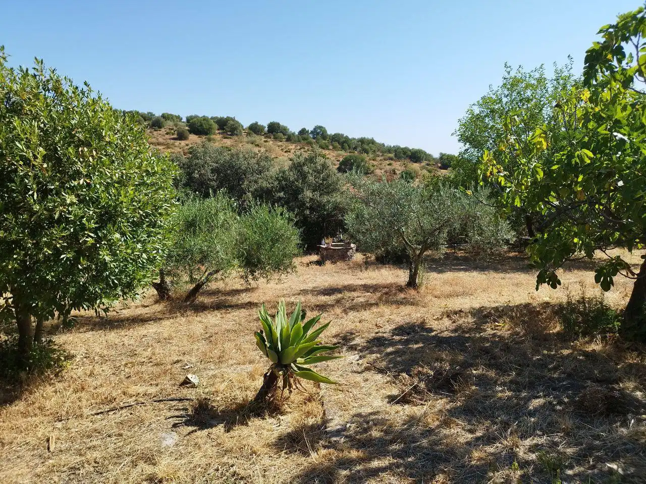 Detached house with garden for sale in El Castillo de las Guardas, imagen 6