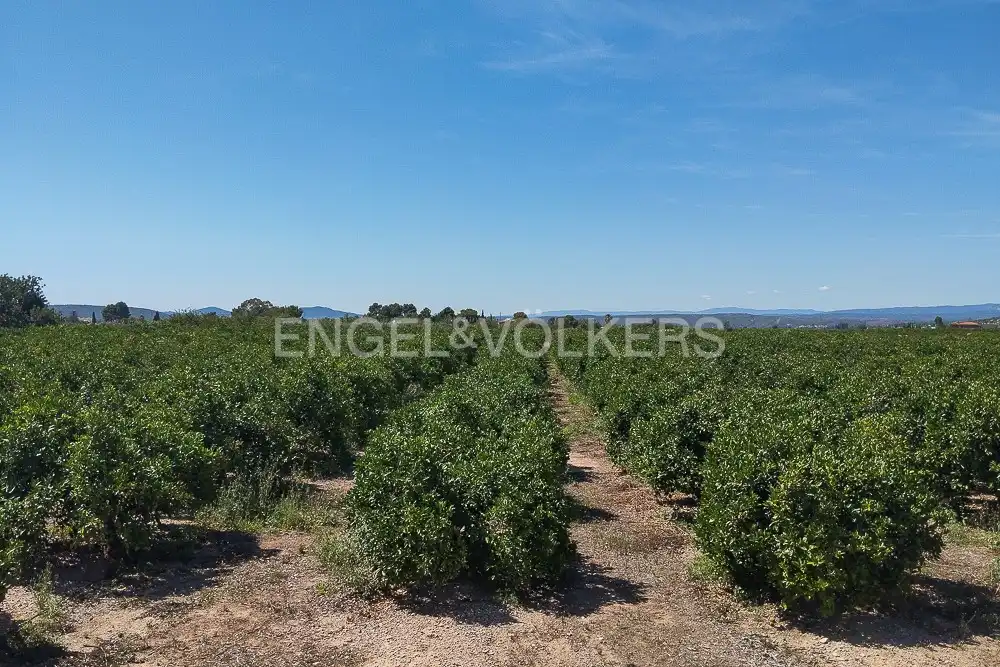 Terrain rustique à vendre à Casco Antiguo, imagen 4