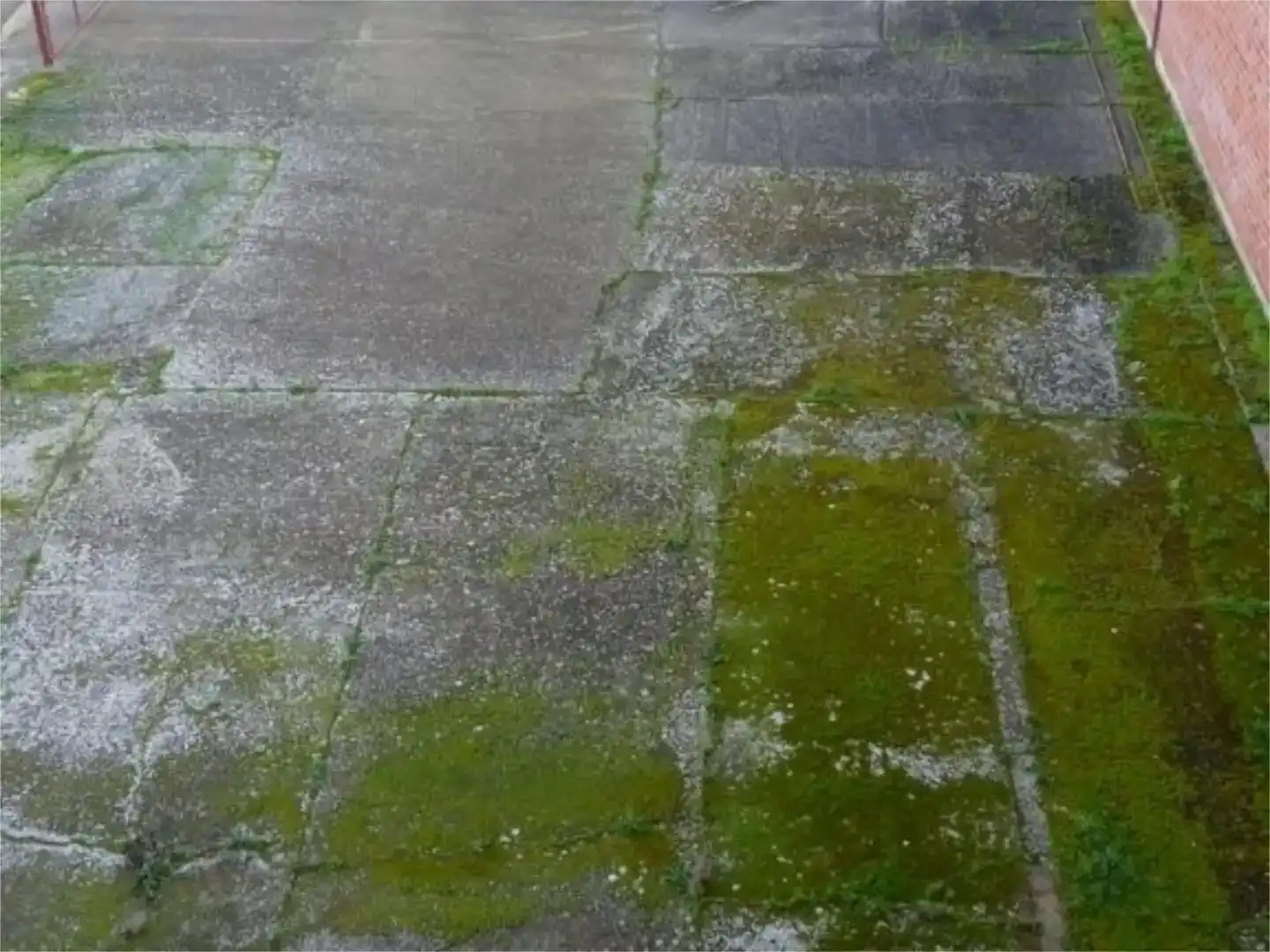 Garden of Land for sale in Valencia de Don Juan