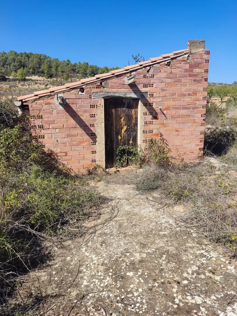 Rural land for sale in Horta de Sant Joan, imagen 4