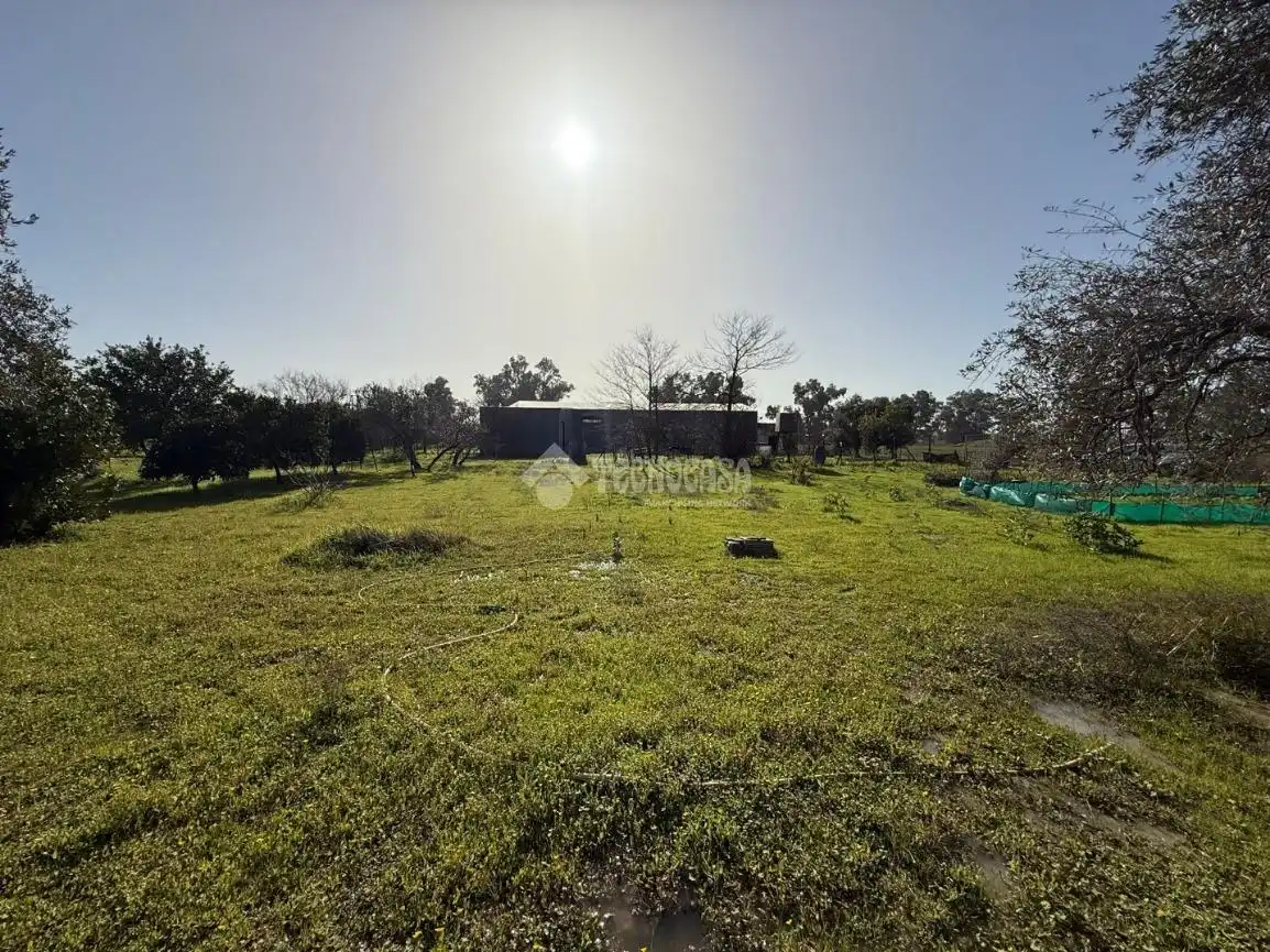 Terreno en venta en Arahal