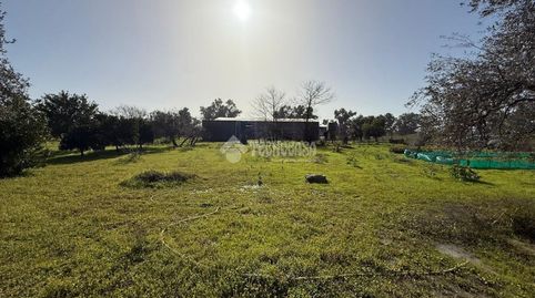 Photo 3 of Land for sale in Olivar Pje. Alameda Jaedillas (polígono 34 Parcela, Arahal, Sevilla