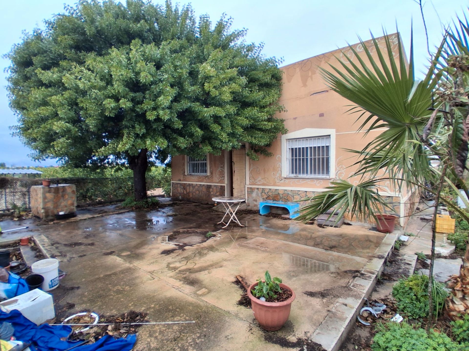 Jardí de Casa o xalet en venda en Guardamar del Segura amb Terrassa, Moblat i Rentadora