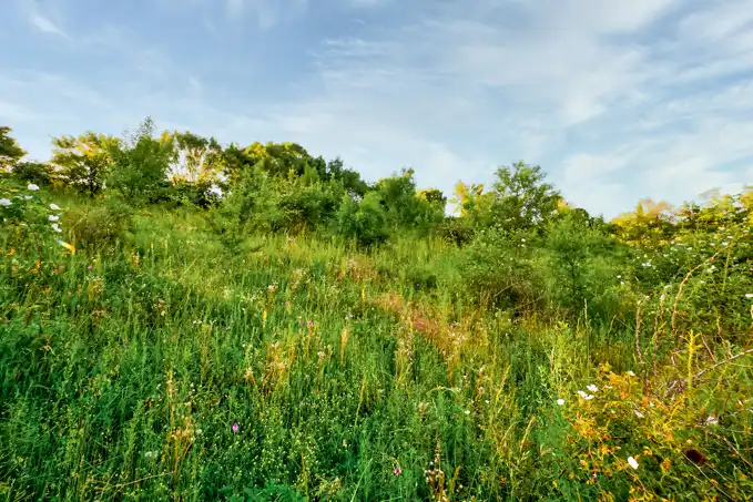 Land for sale in Jaca