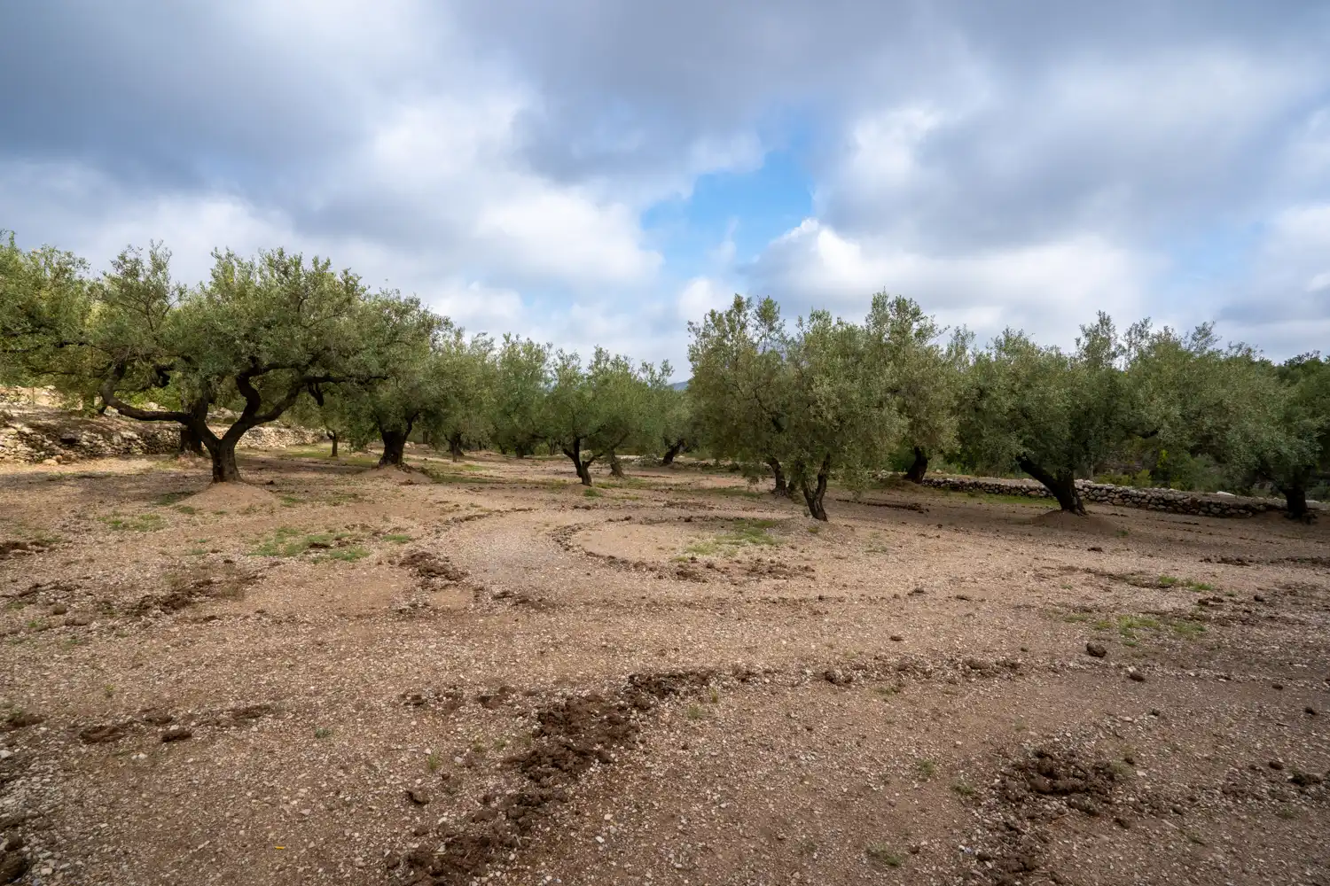 Terreno en venta en Mas de Barberans