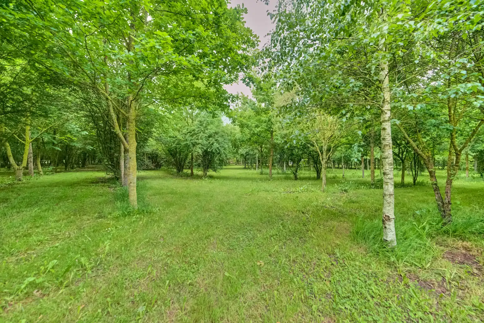 Casa o chalet en venta en Irañeta con Calefacción, Jardín privado y Parquet