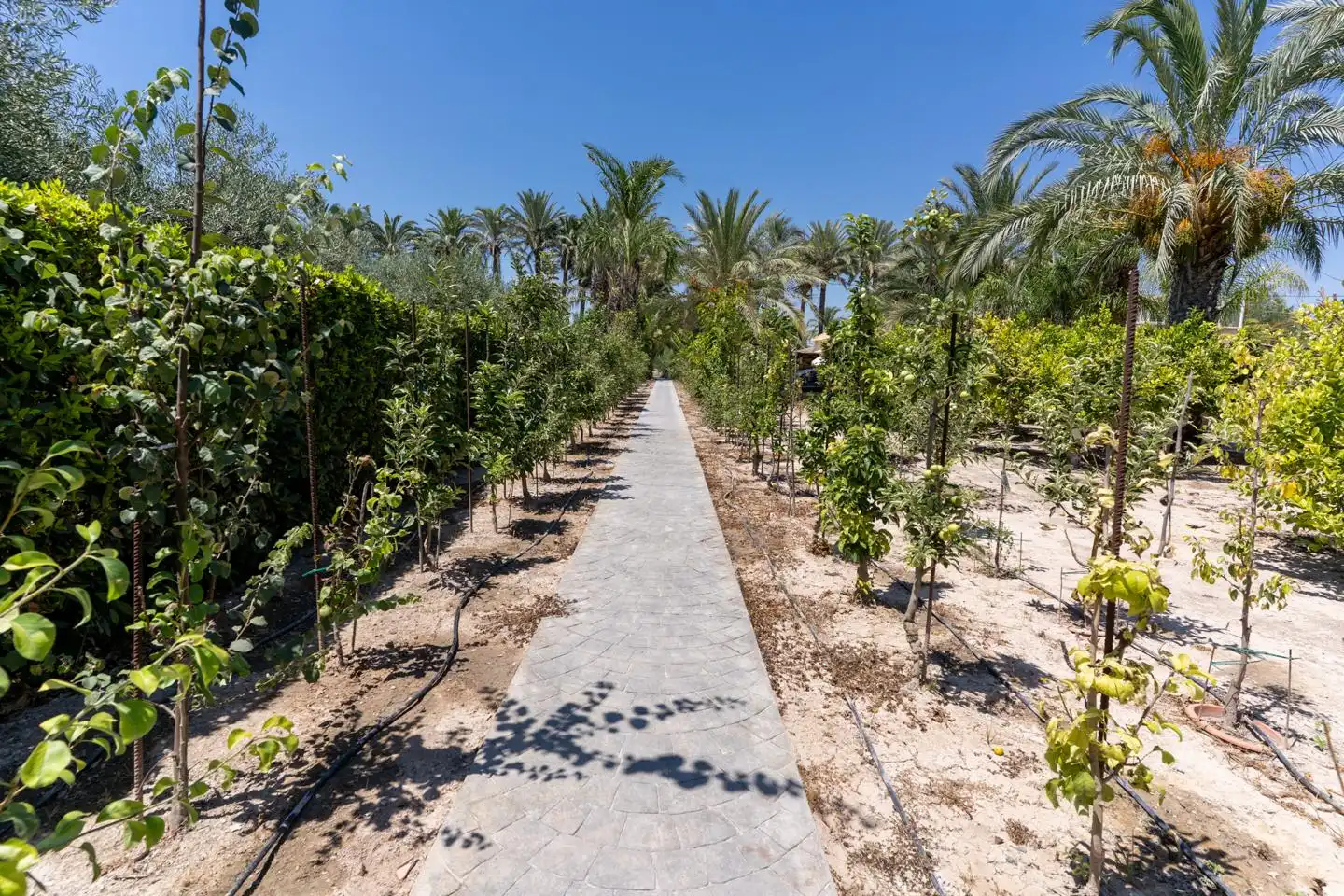 Houses for sale in Elche / Elx  with Air Conditioner, Private garden and Terrace