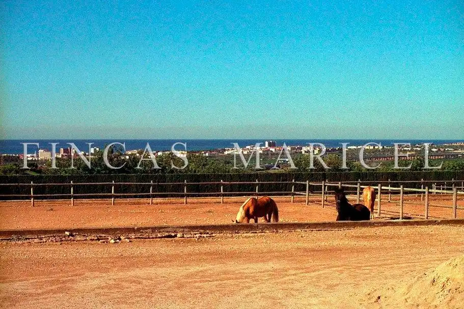 Vista exterior de Finca rústica en venta en El Vendrell con Calefacción, Jardín privado y Terraza