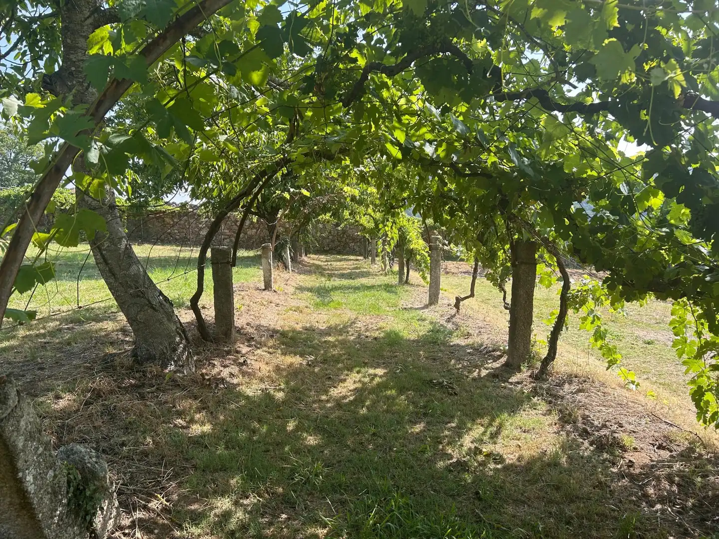 Country homes for sale in Vedra  with Heating, Terrace and Swimming Pool