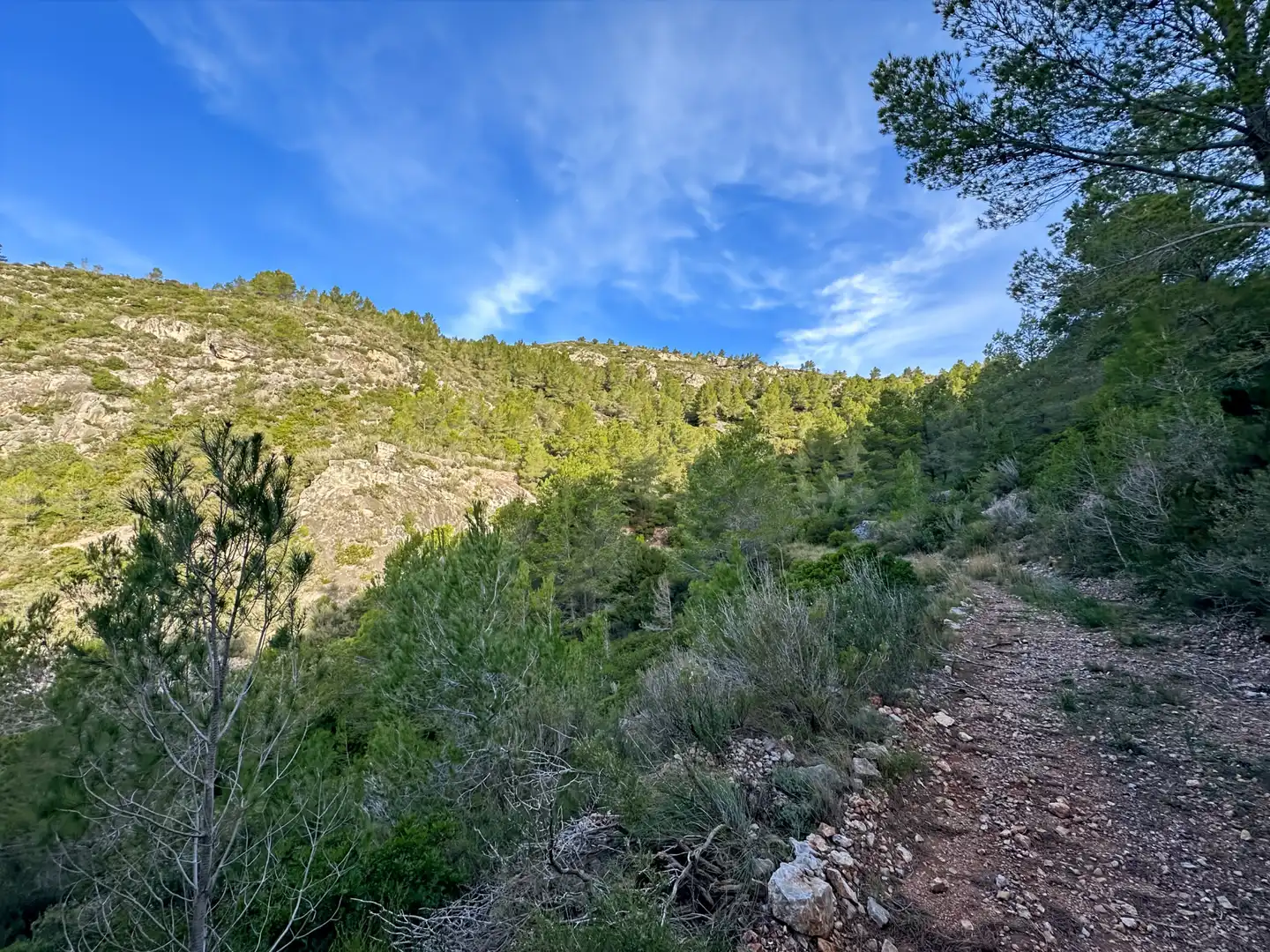 Terrenys i solars en venda a Pratdip, imagen 9