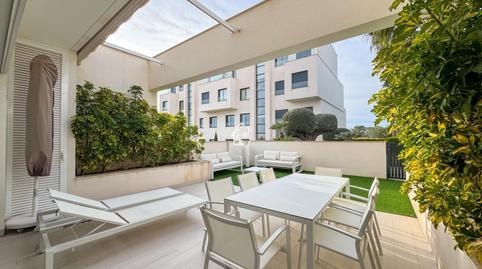 Photo 4 of Planta baja for sale in San Miguel de Salinas, Alicante