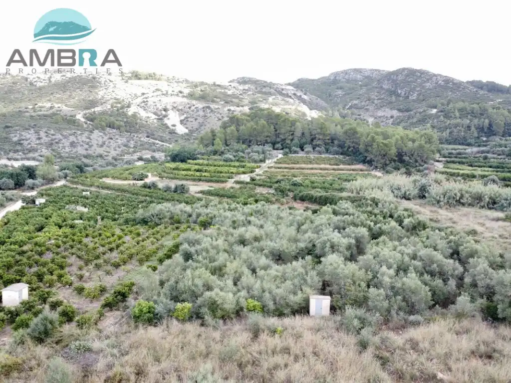 Rural land for sale in Pego, imagen 2
