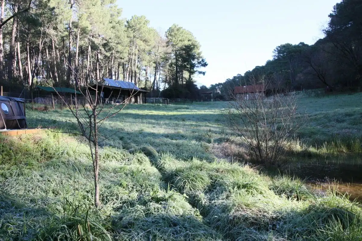 Finca rústica en venda en Santa Cruz del Valle amb Internet