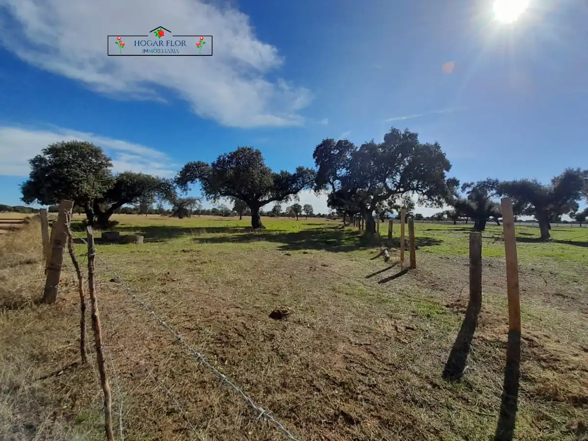 Finca rústica en venta en Carrascal del Obispo