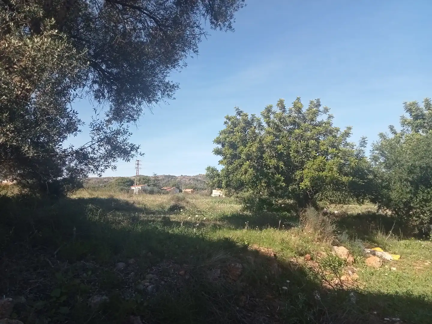 Terreno rustico in vendita a Oeste, imagen 3