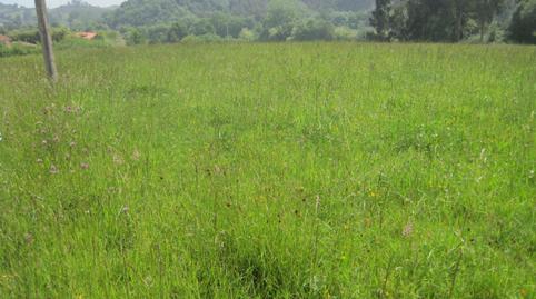 Foto 3 de Residencial en venta en N/a, Sierín, Asturias