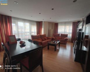 Living room of Flat to rent in  Granada Capital  with Air Conditioner