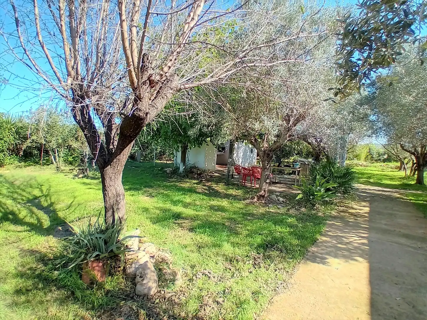 Casa o xalet en venda en Cheste amb Jardí privat i Terrassa