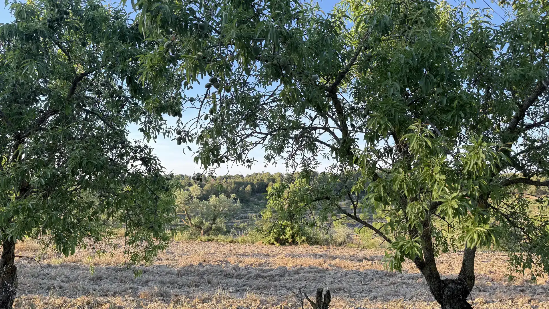 Finca rústica en venda en La Fatarella amb Jardí privat