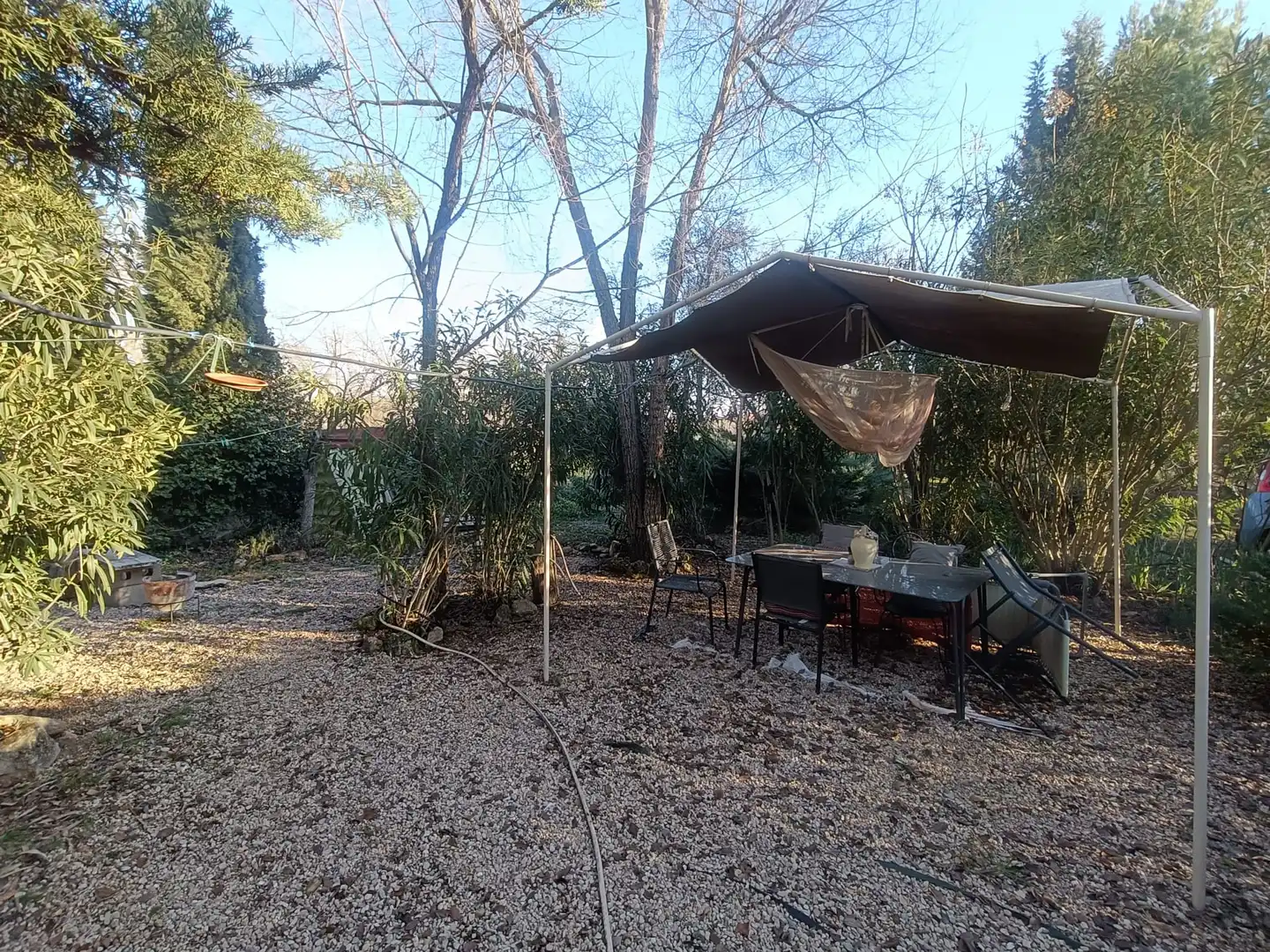 Jardín de Casa o chalet en venta en Carrión de Calatrava con Jardín privado, Trastero y Amueblado