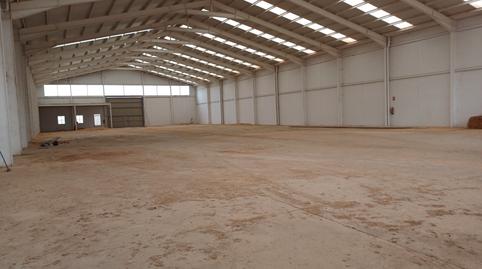 Foto 2 von Fabrikhallen zur Miete in Pedanías - Extrarradio,  Albacete Capital