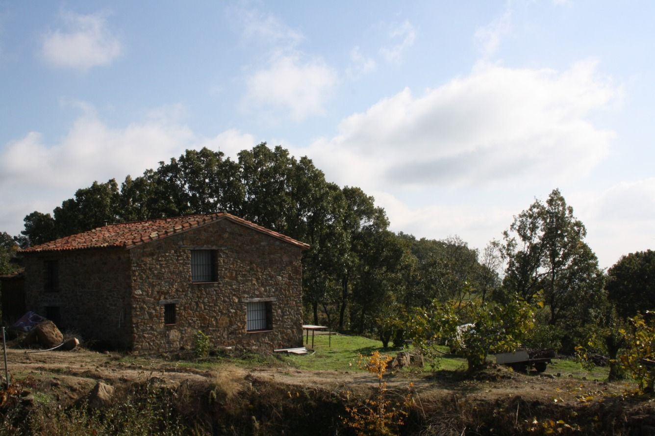 Exterior view of Country house for sale in Torremenga  with Private garden, Terrace and Furnished
