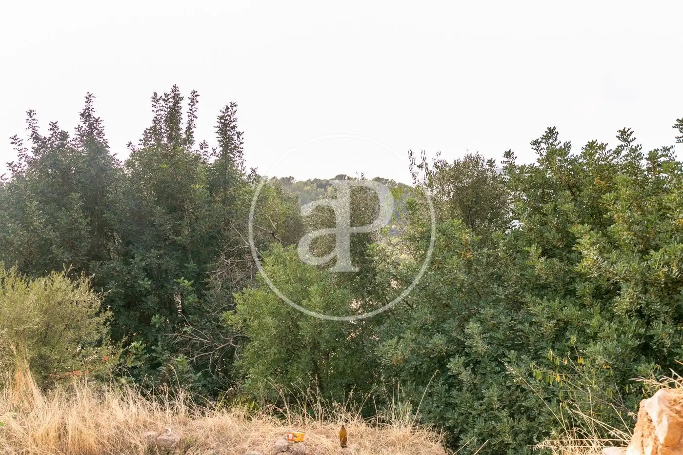 Residencial en venta en Bunyola