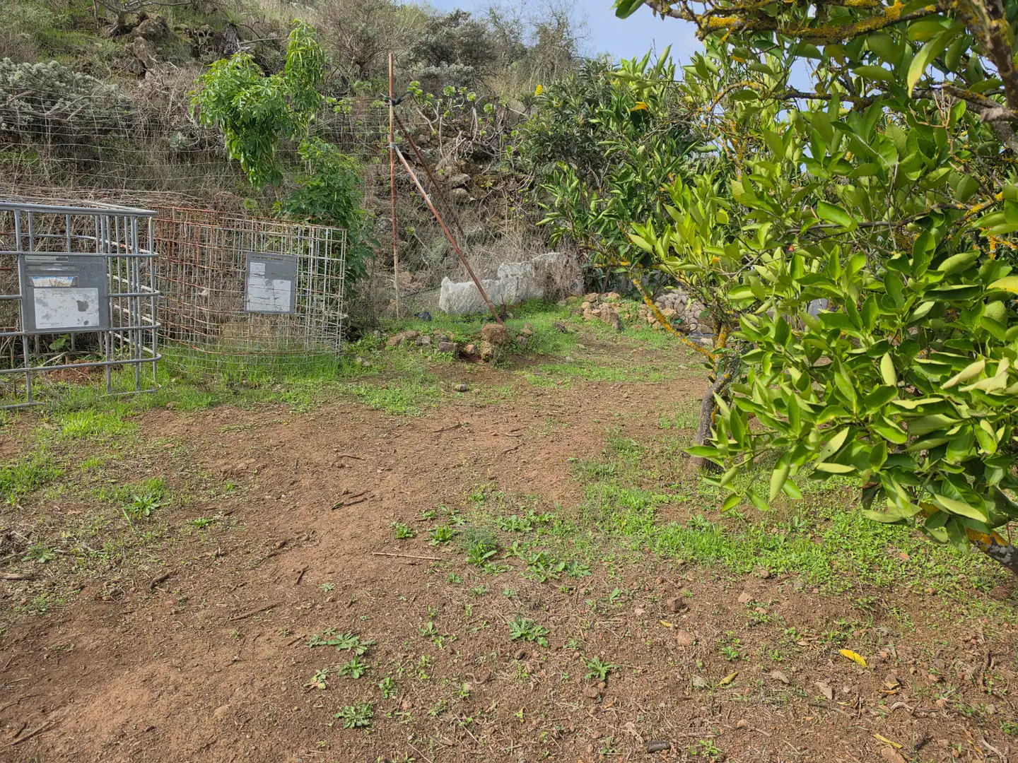 Finca rústica en venta en El Palmar