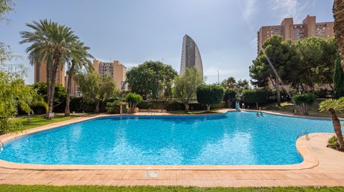 Foto 3 de Piso en venta en Playa Poniente, Benidorm