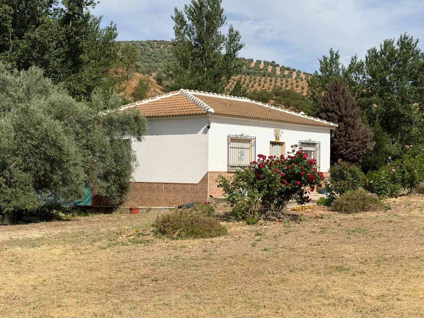 Vista exterior de Finca rústica en venta en Iznájar con Jardín privado y Terraza