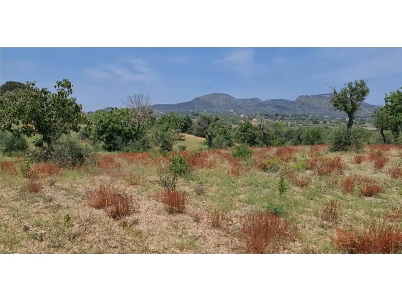 Rural land for sale in Poligono 5 723, imagen 40