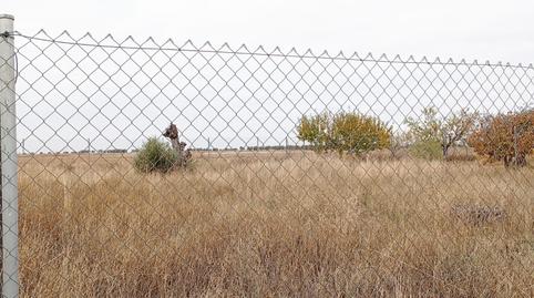 Foto 4 de Terreny en venda a Camino Camino de Los Ciruelos, Yepes, Toledo