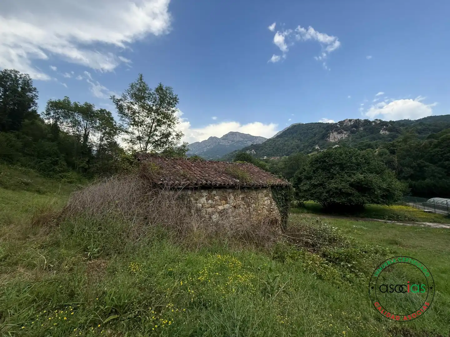 Land for sale in Quirós