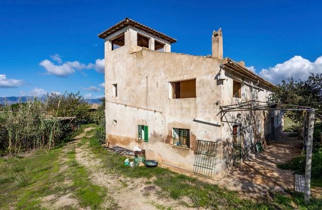 Finca rústica en Venta en Son Ferriol